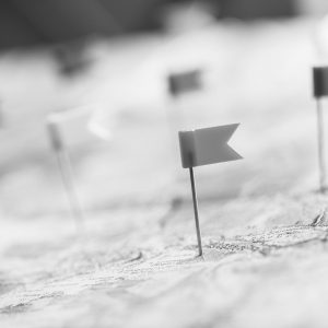 Strategic Planning and Roadmap Design