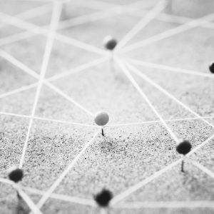 Organizational Model and Governance Framework